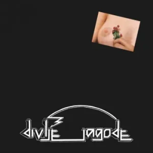 DIVLJE JAGODE - DIVLJE JAGODE LP