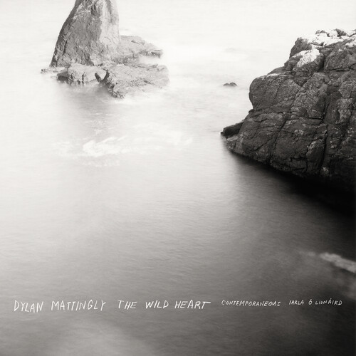 MATTINGLY DYLAN - WILD HEART LP