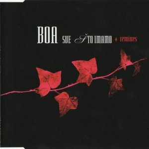 BOA - SVE ŠTO IMAMO + REMIXES single